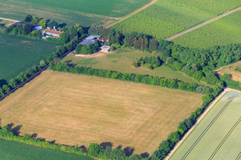 Oblique view of Paddock of Trakehner-Friedrich in Minfeld in the state Rhineland-Palatinate, Germany