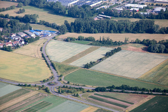 Aerial view of Landau in der Pfalz in the state Rhineland-Palatinate, Germany
