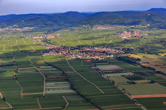 Overview of the town from the east in Edesheim in the state Rhineland-Palatinate, Germany