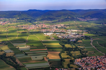 City overview from the east in Edenkoben in the state Rhineland-Palatinate, Germany