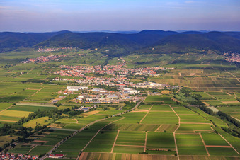 Aerial view of City overview from the east in Edenkoben in the state Rhineland-Palatinate, Germany