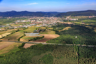City overview from the east in Neustadt an der Weinstraße in the state Rhineland-Palatinate, Germany