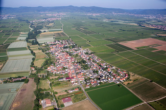 Aerial photograpy of District Duttweiler in Neustadt an der Weinstraße in the state Rhineland-Palatinate, Germany