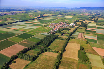 Village overview from the northeast in Freimersheim in the state Rhineland-Palatinate, Germany