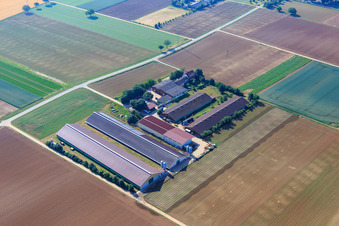 Wilfried Günther Turkey Farm in Zeiskam in the state Rhineland-Palatinate, Germany