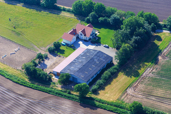 Aussiedlerhof with horse paddock in Zeiskam in the state Rhineland-Palatinate, Germany