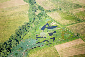 Ponds and Morast- water surface in a pond landscape in Knittelsheim in the state Rhineland-Palatinate