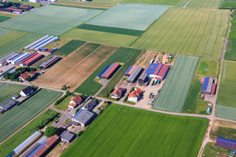 Aerial view of Aussiedlerhöfe am Wingertsberg by Kerner Andreas and Detzel GbR - Warehouse in Herxheim bei Landau in the state Rhineland-Palatinate, Germany