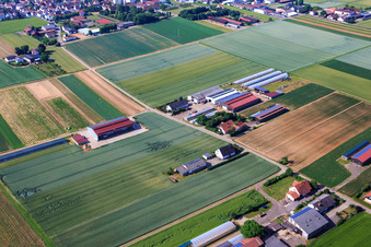 Aerial photograpy of Aussiedlerhöfe am Wingertsberg by Kerner Andreas and Detzel GbR - Warehouse in Herxheim bei Landau in the state Rhineland-Palatinate, Germany