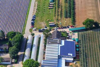 Oblique view of Zapf Farm Market in Kandel in the state Rhineland-Palatinate, Germany