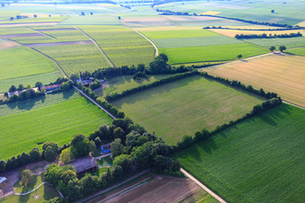 Paddock of Trakehner-Friedrich in Minfeld in the state Rhineland-Palatinate, Germany from above
