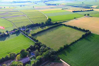 Paddock of Trakehner-Friedrich in Minfeld in the state Rhineland-Palatinate, Germany out of the air