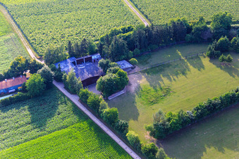 Paddock of Trakehner-Friedrich in Minfeld in the state Rhineland-Palatinate, Germany seen from above