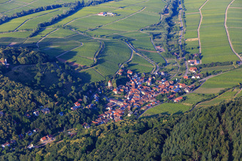 Aerial view of Village overview on the edge of the Haardt from the southwest in Leinsweiler in the state Rhineland-Palatinate, Germany