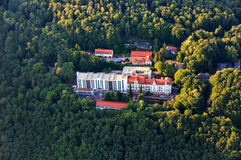 Specialist clinic Eußerthal in the forest in Eußerthal in the state Rhineland-Palatinate, Germany from above
