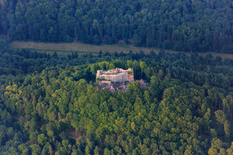 Aerial view of Meistersel Castle Ruins (scaffolded) in Ramberg in the state Rhineland-Palatinate, Germany