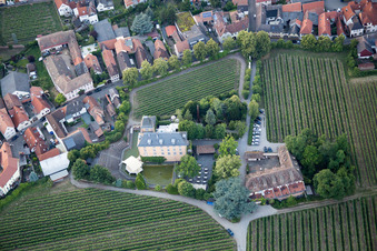 Complex of the hotel building Hotel Schloss Edesheim, Privathotels Dr. Lohbeck GmbH & Co. KG in Edesheim in the state Rhineland-Palatinate