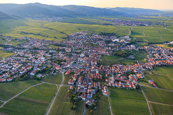 City view between vineyards from the south in Edenkoben in the state Rhineland-Palatinate, Germany