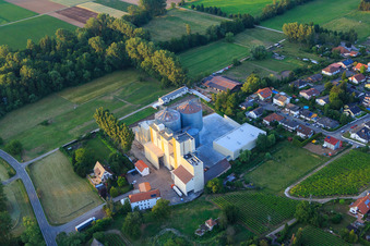 Oblique view of Silos of the grain mill Cornexo GmbH in Freimersheim in the state Rhineland-Palatinate, Germany