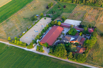 Friedrich Roth Veterinarian in Freimersheim in the state Rhineland-Palatinate, Germany