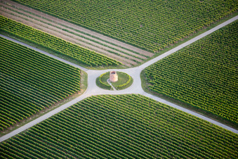 Winemaker's Tower in the district Niederhochstadt in Hochstadt in the state Rhineland-Palatinate, Germany