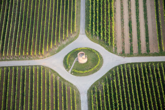 Aerial view of Winemaker's Tower in the district Niederhochstadt in Hochstadt in the state Rhineland-Palatinate, Germany