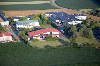 Scheibenhard in the state Bas-Rhin, France from a drone