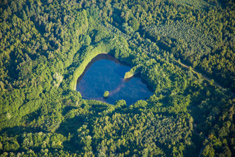 Kauffenheim in the state Bas-Rhin, France