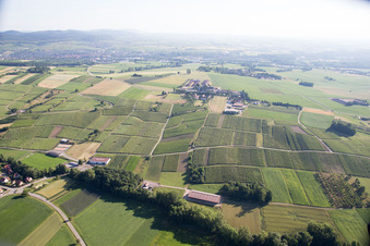Aerial view of Steinseltz in the state Bas-Rhin, France