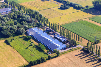 Pappelallee with ConFas GmbH and Strasser Haustechnik in the district Schaidt in Wörth am Rhein in the state Rhineland-Palatinate, Germany