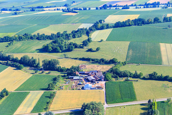 Holzwerk ORTH Gerd Sütterlin eK in the district Schaidt in Wörth am Rhein in the state Rhineland-Palatinate, Germany
