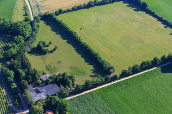 Bird's eye view of Paddock of Trakehner-Friedrich in Minfeld in the state Rhineland-Palatinate, Germany