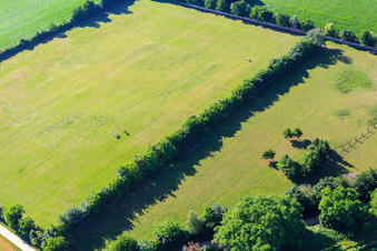 Drone image of Paddock of Trakehner-Friedrich in Minfeld in the state Rhineland-Palatinate, Germany