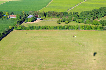 Paddock of Trakehner-Friedrich in Minfeld in the state Rhineland-Palatinate, Germany from the plane