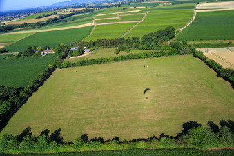 Paddock of Trakehner-Friedrich in Minfeld in the state Rhineland-Palatinate, Germany viewn from the air