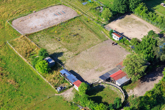 Aerial view of Horse paddock at Dörniggraben in Minfeld in the state Rhineland-Palatinate, Germany