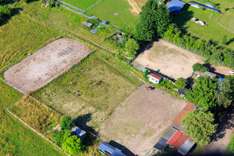 Aerial photograpy of Horse paddock at Dörniggraben in Minfeld in the state Rhineland-Palatinate, Germany