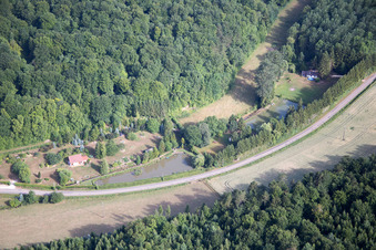 Fish ponds in Lamorville in the state Meuse, France