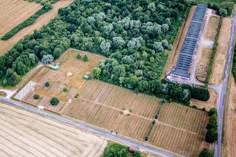 Grave rows on the grounds of the military cemetery of the Royal Canadian Air Force RCAF in Choloy-Menillot in Grand Est, France