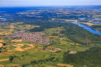 Village view in the Rhine meadows from the northeast in Au am Rhein in the state Baden-Wuerttemberg, Germany