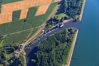 Aerial photograpy of Neuburg marina at the mouth of the Lauter in Neuburg am Rhein in the state Rhineland-Palatinate, Germany