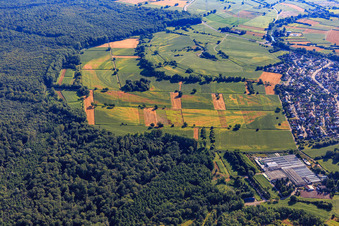Traces of drought damage on fields at Bienwald in Hagenbach in the state Rhineland-Palatinate, Germany