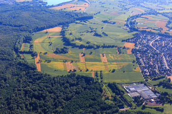 Aerial view of Traces of drought damage on fields at Bienwald in Hagenbach in the state Rhineland-Palatinate, Germany