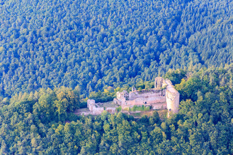 Neuscharfeneck Castle Ruins in Flemlingen in the state Rhineland-Palatinate, Germany