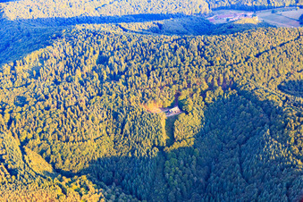 Hiking Lodge Dicke Eiche - Palatinate Forest Association Hauenstein 1913 eV in Hauenstein in the state Rhineland-Palatinate, Germany