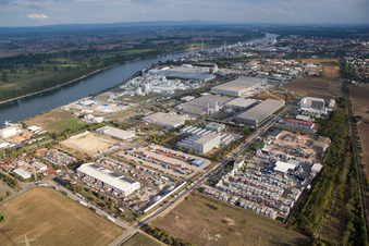 Industrial area Im Langgewan, forwarding company Kube & Kubenz in Worms in the state Rhineland-Palatinate, Germany from the drone perspective