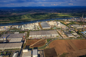 Industrial area North on the Rhine with ROWE Mineralölwerk GmbH in Worms in the state Rhineland-Palatinate, Germany