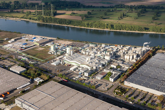 Aerial view of Building and production halls on the premises of the chemical manufacturers Grace GmbH on the river bank of the Rhine in Worms in the state Rhineland-Palatinate, Germany