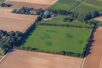 Paddock of Trakehner-Friedrich in Minfeld in the state Rhineland-Palatinate, Germany from the drone perspective