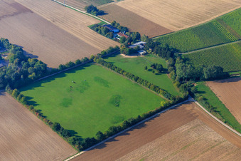 Paddock of Trakehner-Friedrich in Minfeld in the state Rhineland-Palatinate, Germany from a drone